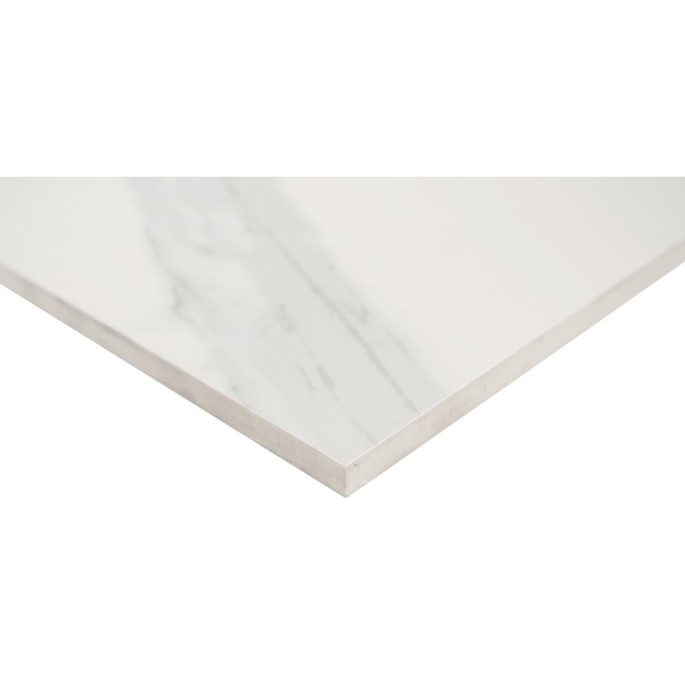 Eden Statuary 24x48 WhiteCool Porcelain Matte Floor and Wall Tile